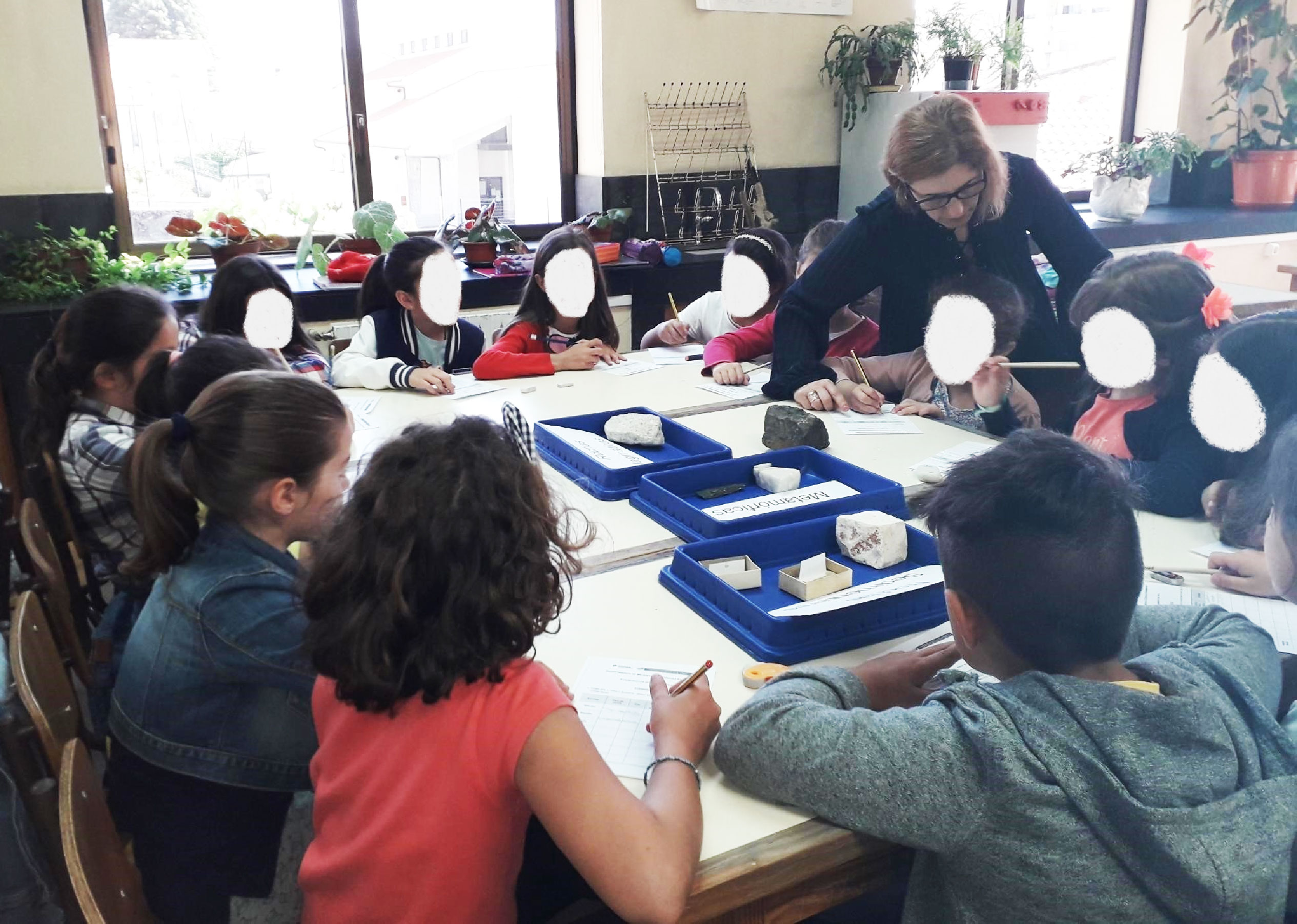 ensino-experimental-ciencias-2