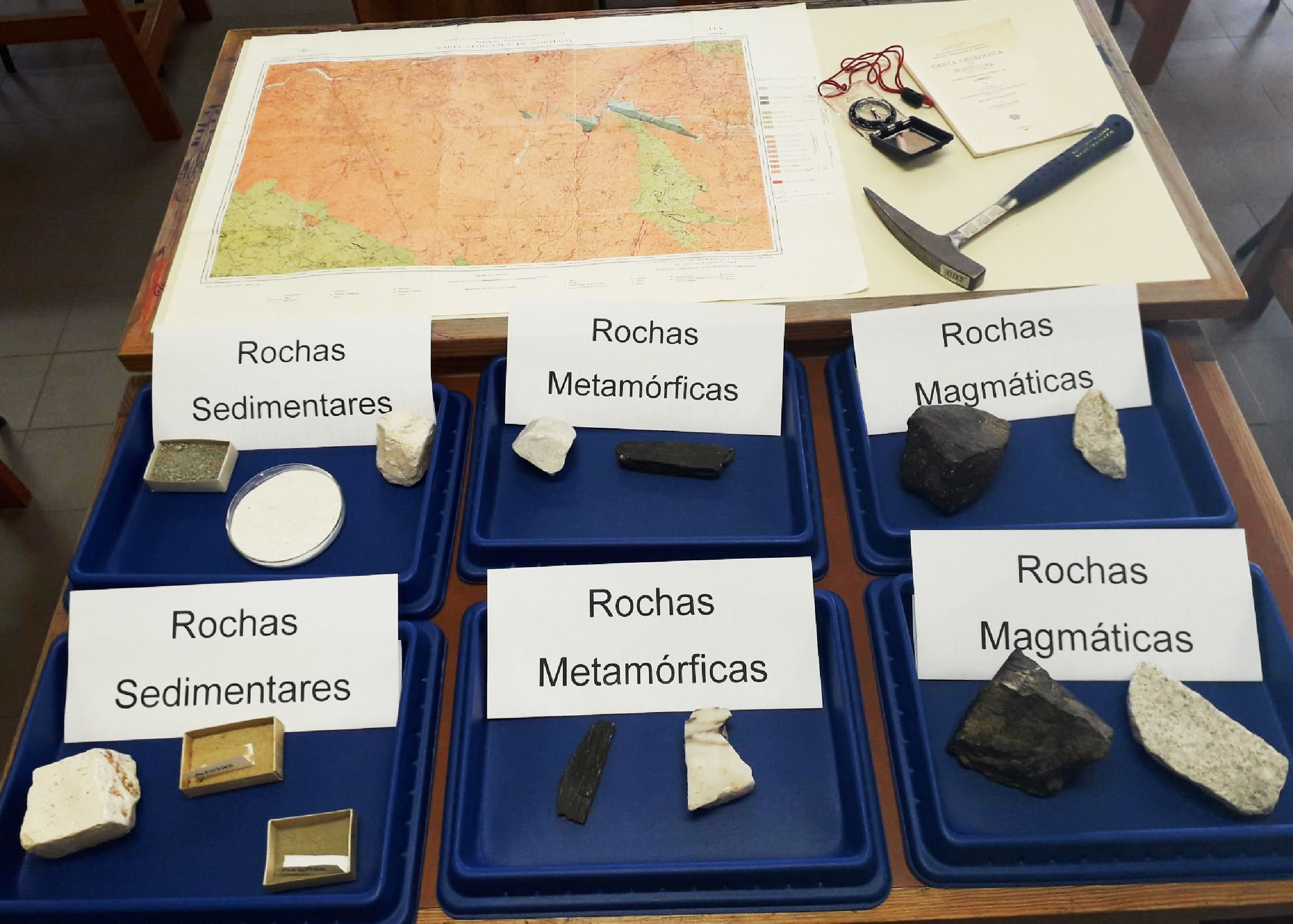 ensino-experimental-ciencias-3